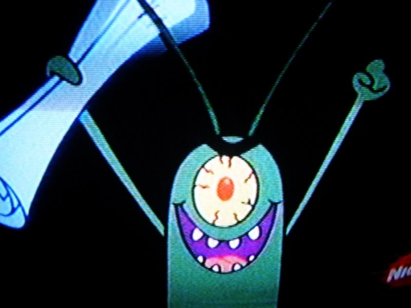 plankton Pictures, Images and Photos