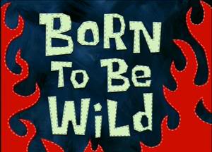 Born_to_be_Wild_300px.jpg