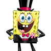 The Spongey Me